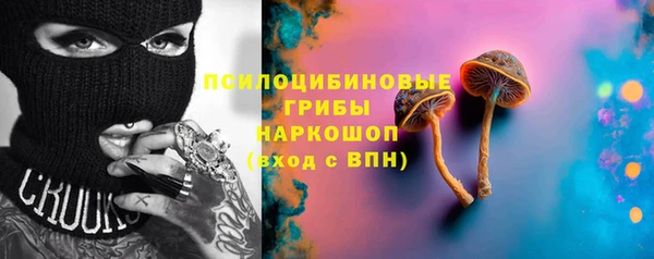 шишки Бронницы