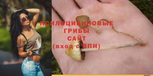 шишки Бронницы
