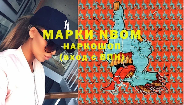 шишки Бронницы