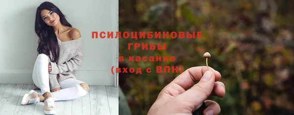 шишки Бронницы