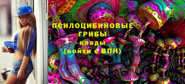 apvp Бугульма