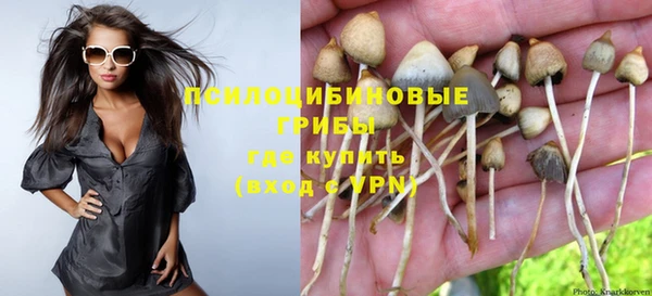 первитин Бородино