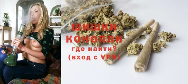 шишки Бронницы