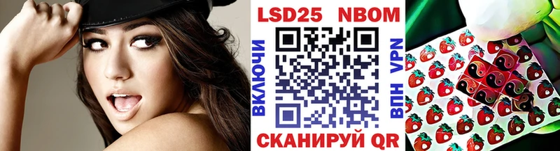 где купить наркоту  Южно-Сухокумск  Марки N-bome 1,8мг 
