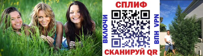 площадка формула  Южно-Сухокумск  Канабис марихуана  хочу наркоту 